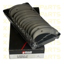 CONCHA BIELA 25MM EXPLORER RANGER 4.0 SEALED POWER