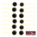 Gomas sello válvula Ford Explorer 3.5 V6 FEL-PRO